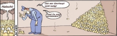 Vogelgrippe