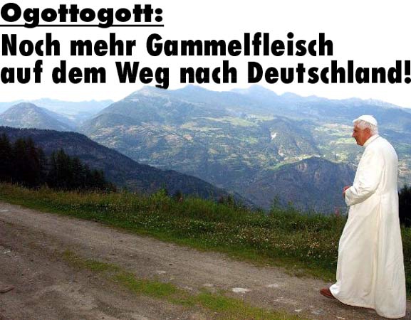 Papstbesuch
