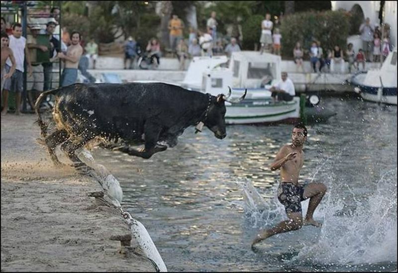 Die über's Wasser gehen...