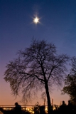 Mond, Baum, Hafen
