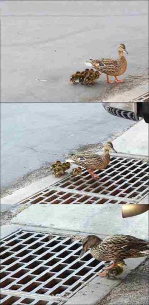 Mother of the year