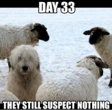 Undercover