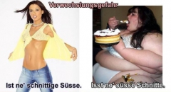 Schnitte