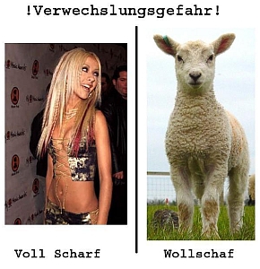 Scharf
